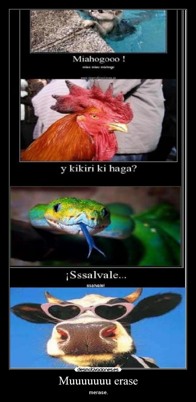 Muuuuuuu erase - merase.