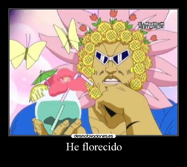 He florecido -