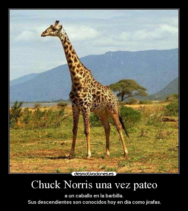 Chuck Norris una vez pateo - 