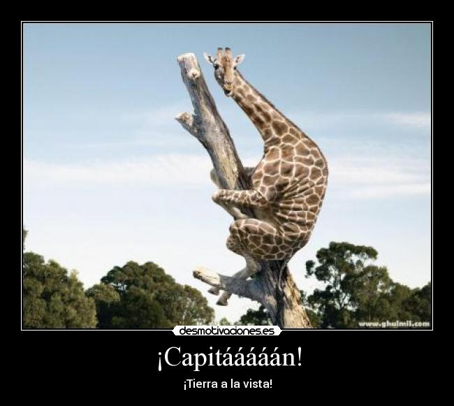 ¡Capitááááán! - ¡Tierra a la vista!