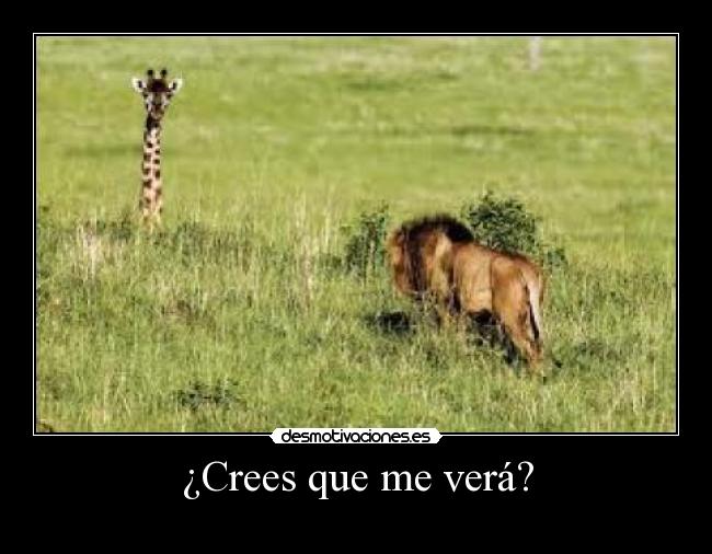 ¿Crees que me verá? - 