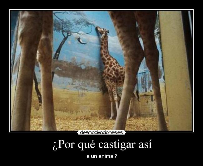 ¿Por qué castigar así -