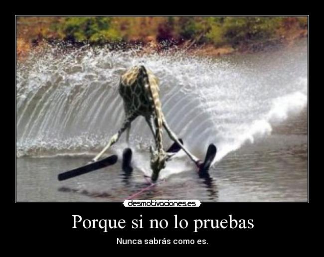 Porque si no lo pruebas - Nunca sabrás como es.