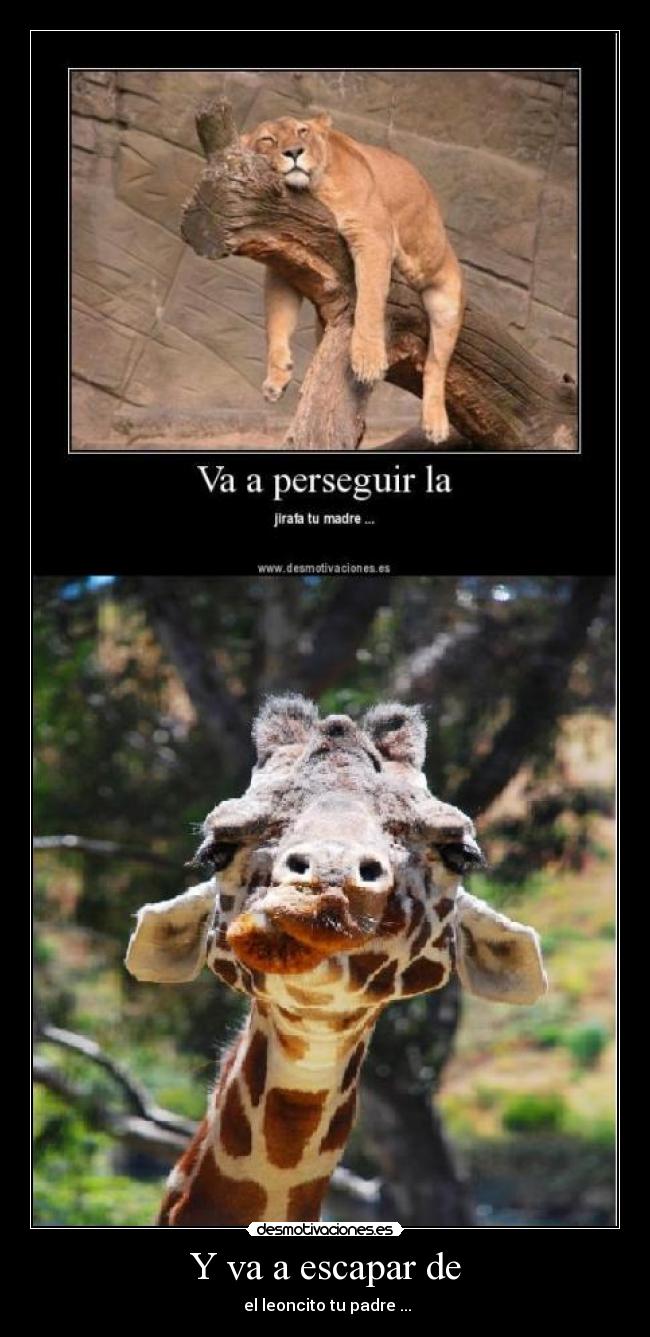 Y va a escapar de - el leoncito tu padre ...