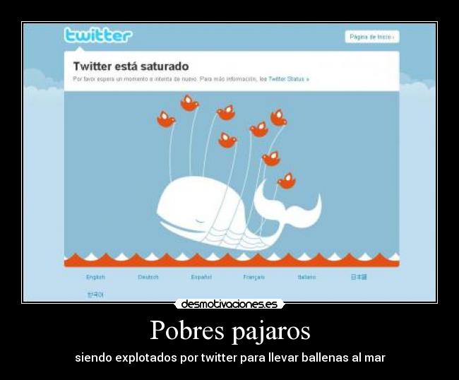 Pobres pajaros - siendo explotados por twitter para llevar ballenas al mar