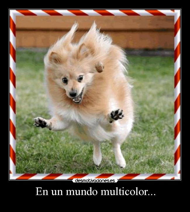 En un mundo multicolor... -