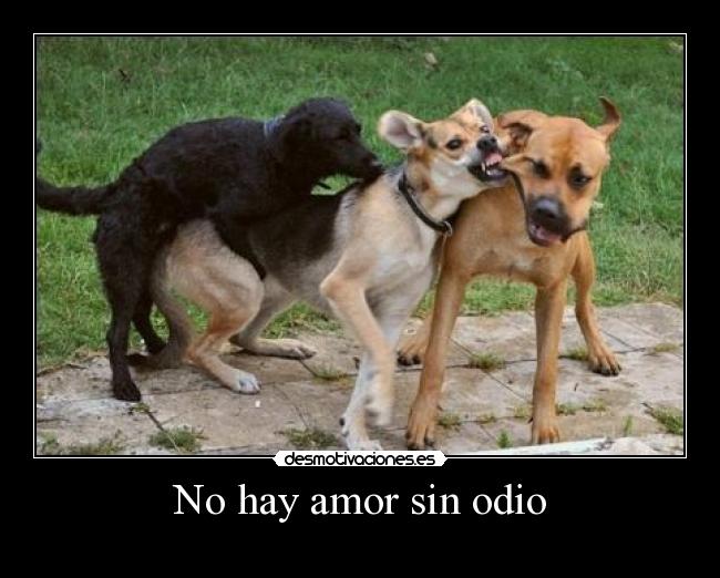 No hay amor sin odio -