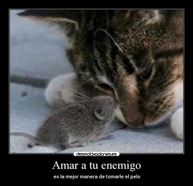 carteles enemigo enemigo desmotivaciones