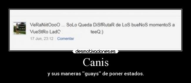 Canis - y sus maneras guays de poner estados.