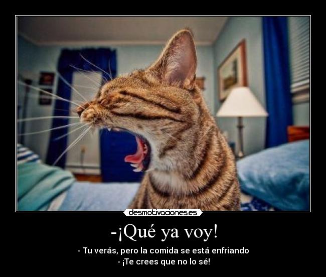 -¡Qué ya voy! - - Tu verás, pero la comida se está enfriando
- ¡Te crees que no lo sé!