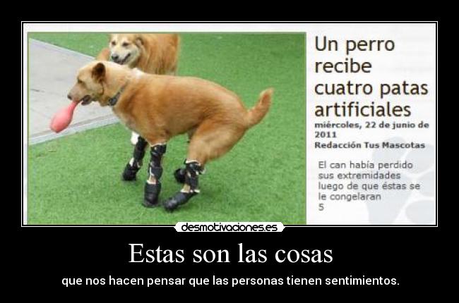 Estas son las cosas -