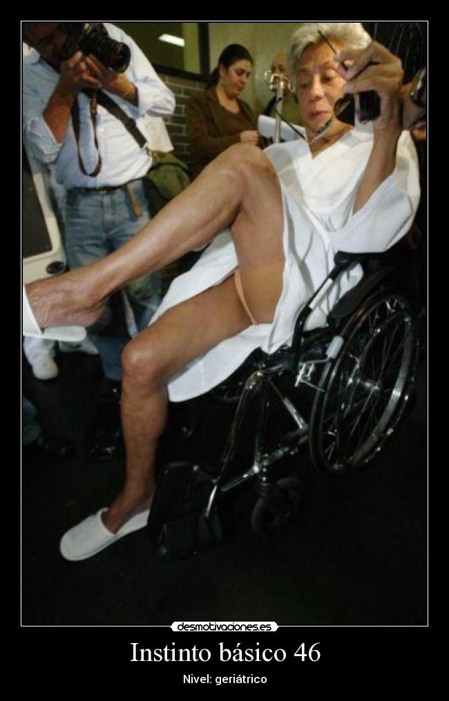 Instinto básico 46 - Nivel: geriátrico