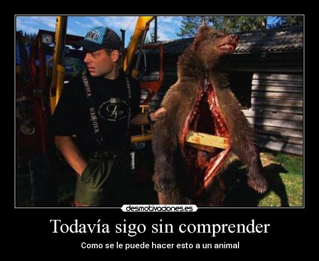 Todavía sigo sin comprender -