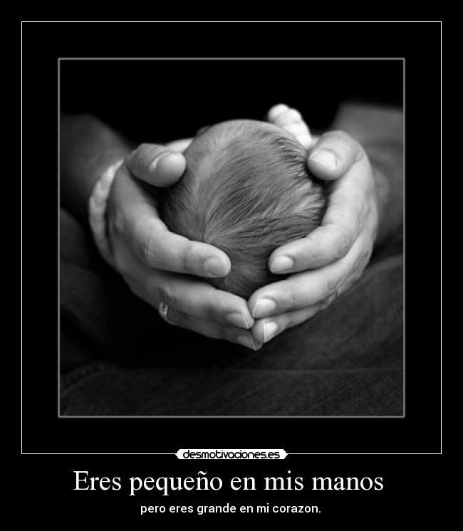 Eres pequeño en mis manos  - 