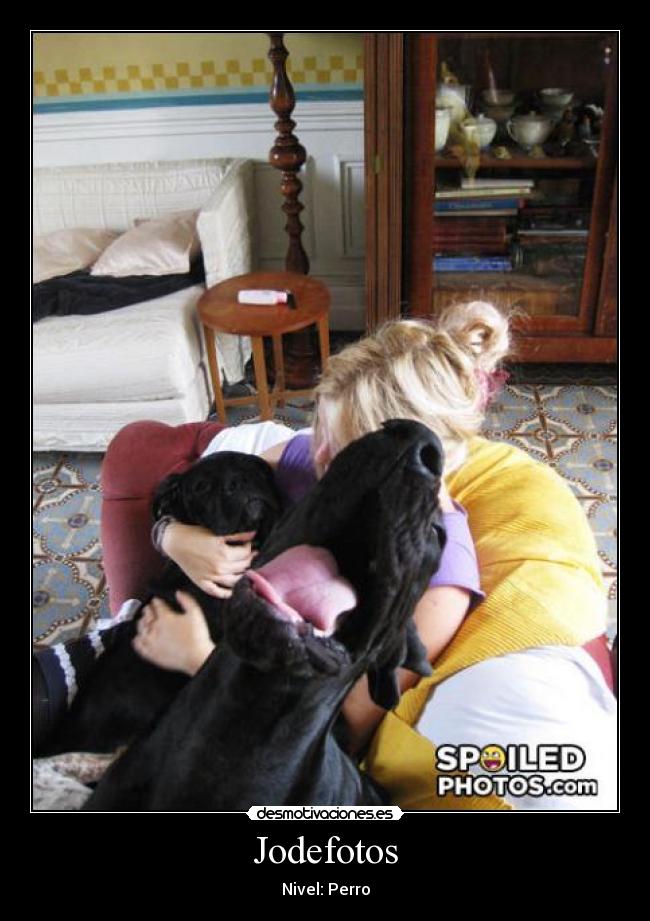 Jodefotos - Nivel: Perro