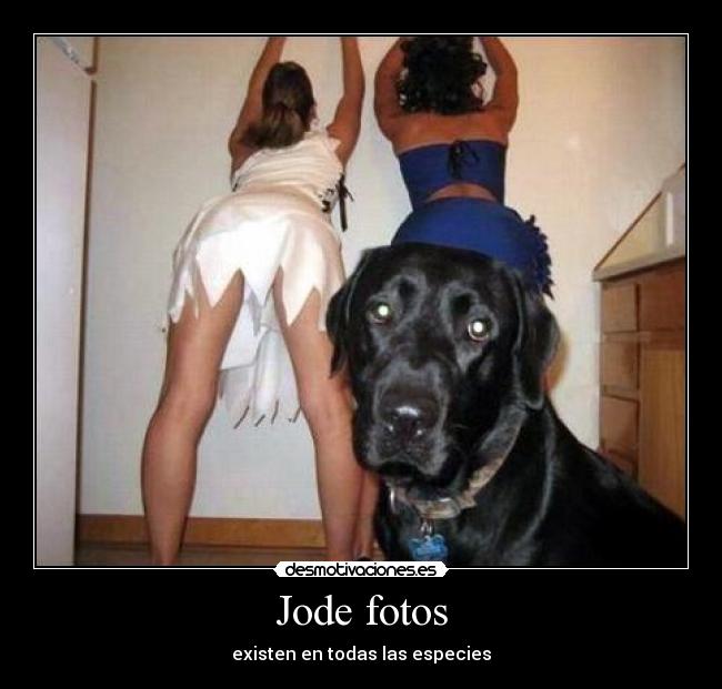 Jode fotos - existen en todas las especies