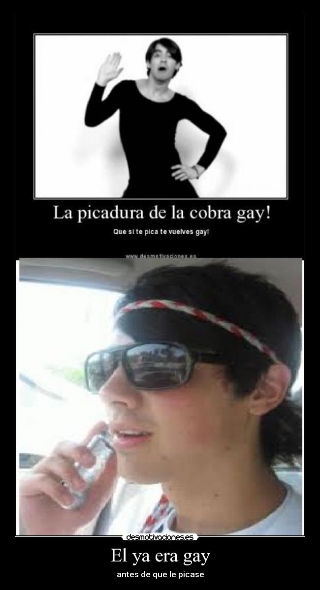 El ya era gay - antes de que le picase