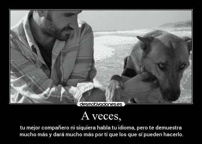 A veces, - tu mejor compañero ni siquiera habla tu idioma, pero te demuestra
mucho más y dará mucho más por tí que los que sí pueden hacerlo.