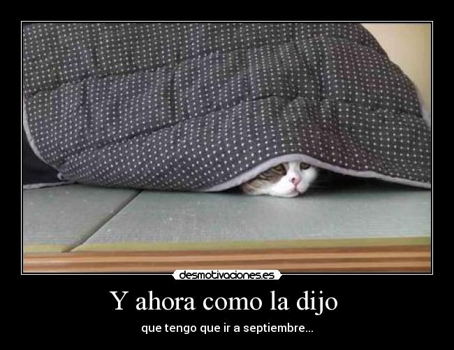 carteles joo desmotivaciones