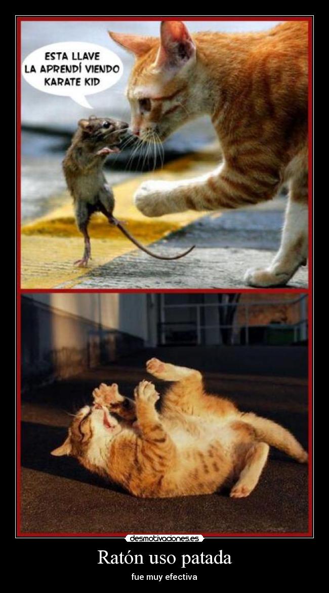 Ratón uso patada - fue muy efectiva