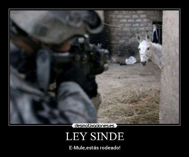 LEY SINDE - 