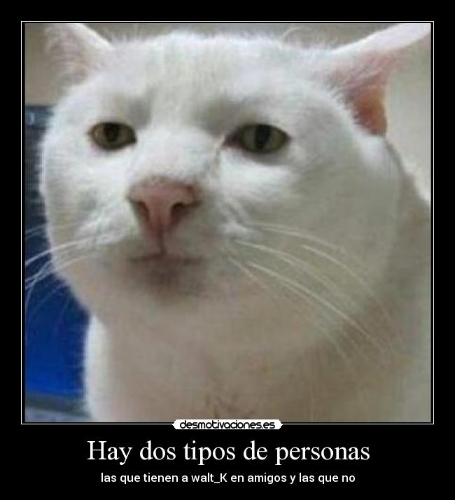 Hay dos tipos de personas - las que tienen a walt_K en amigos y las que no