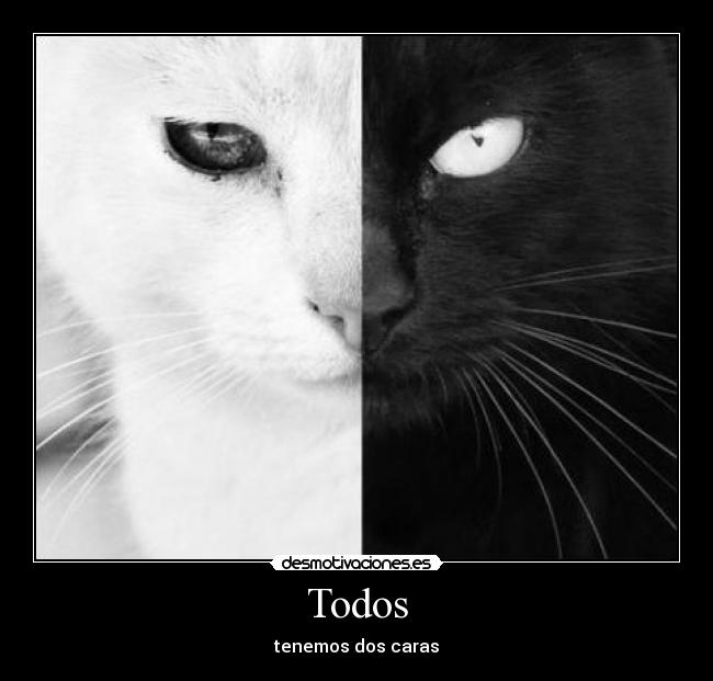 Todos -