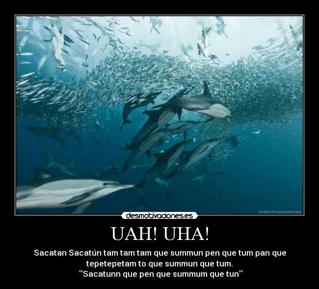 UAH! UHA! -