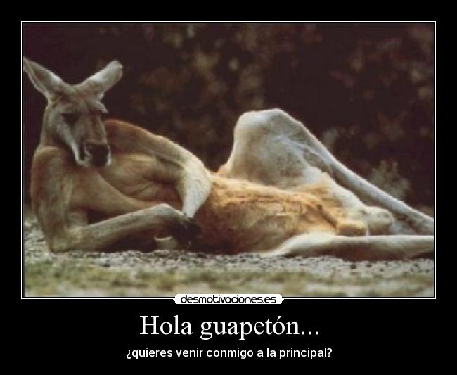 Hola guapetón... - ¿quieres venir conmigo a la principal?