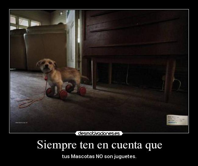 Siempre ten en cuenta que -