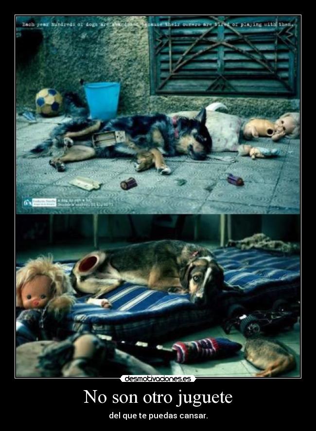 No son otro juguete - del que te puedas cansar.