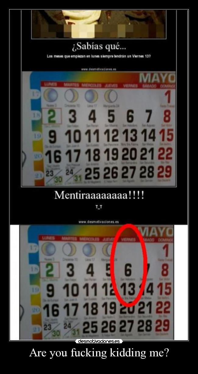 Are you fucking kidding me? - 