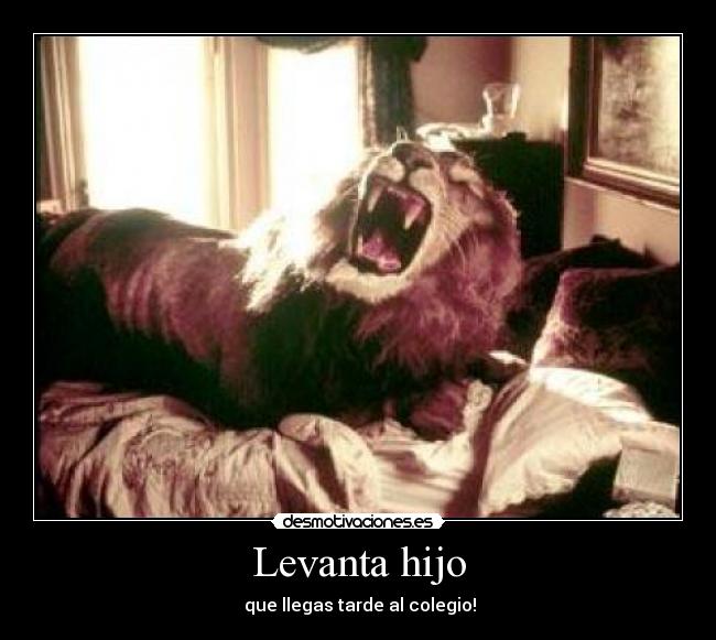 Levanta hijo - 