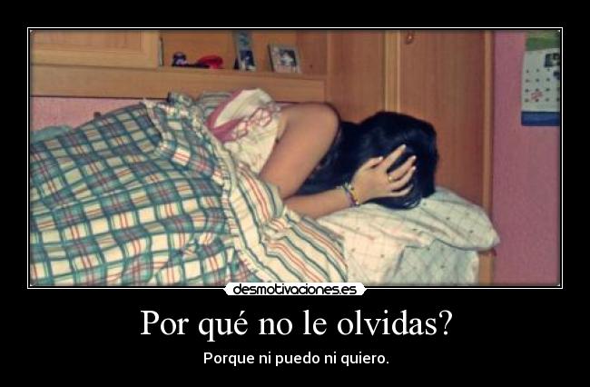 Por qué no le olvidas? - 