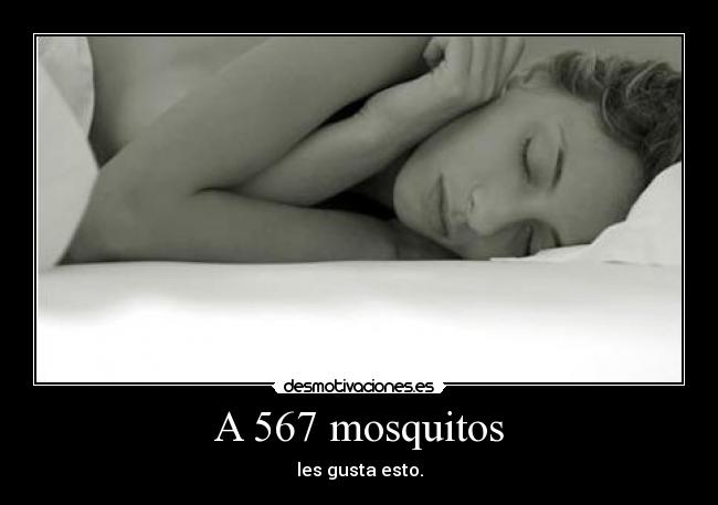 A 567 mosquitos - les gusta esto.