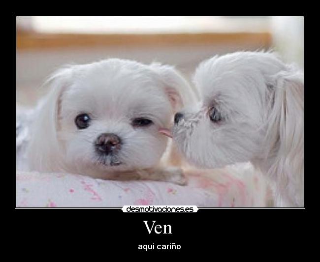 Ven - aqui cariño