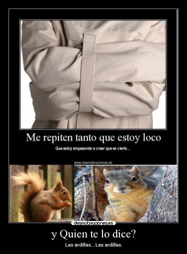 y Quien te lo dice? - Las ardillas... Las ardillas.