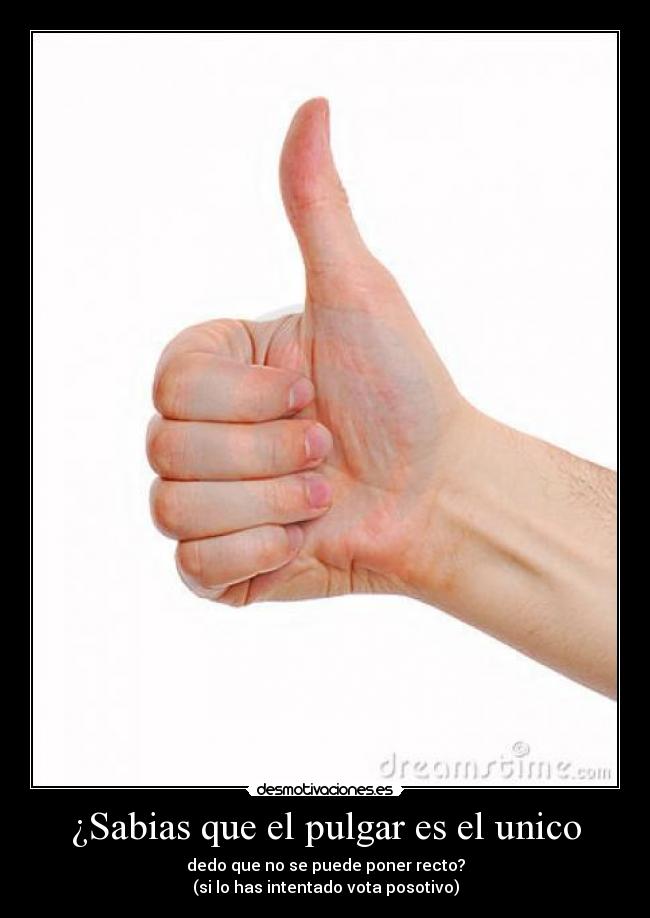¿Sabias que el pulgar es el unico - 