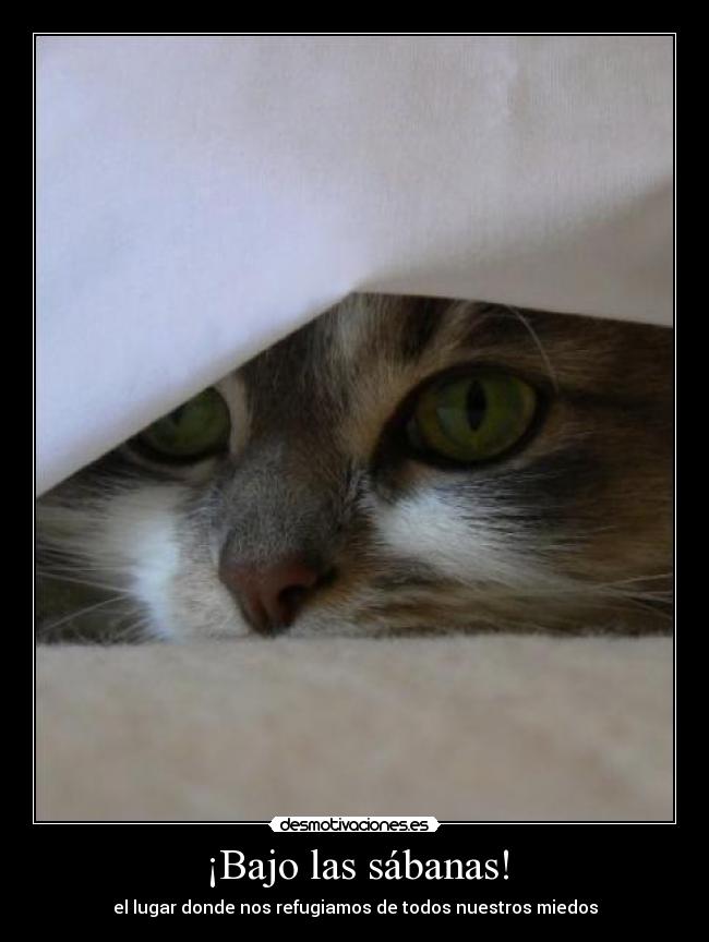 ¡Bajo las sábanas! - 