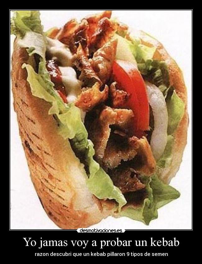 Yo jamas voy a probar un kebab -