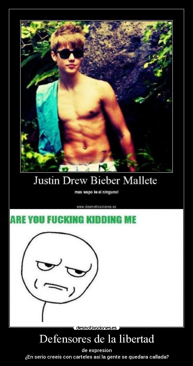 Defensores de la libertad -