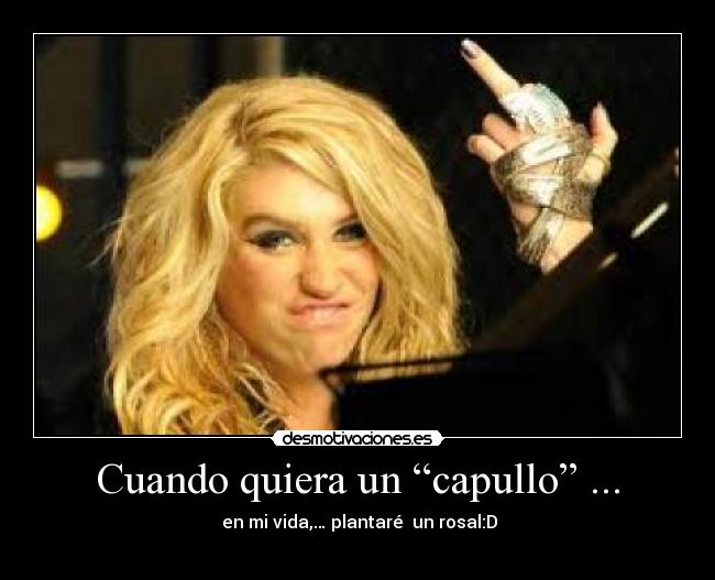 Cuando quiera un “capullo” ... -