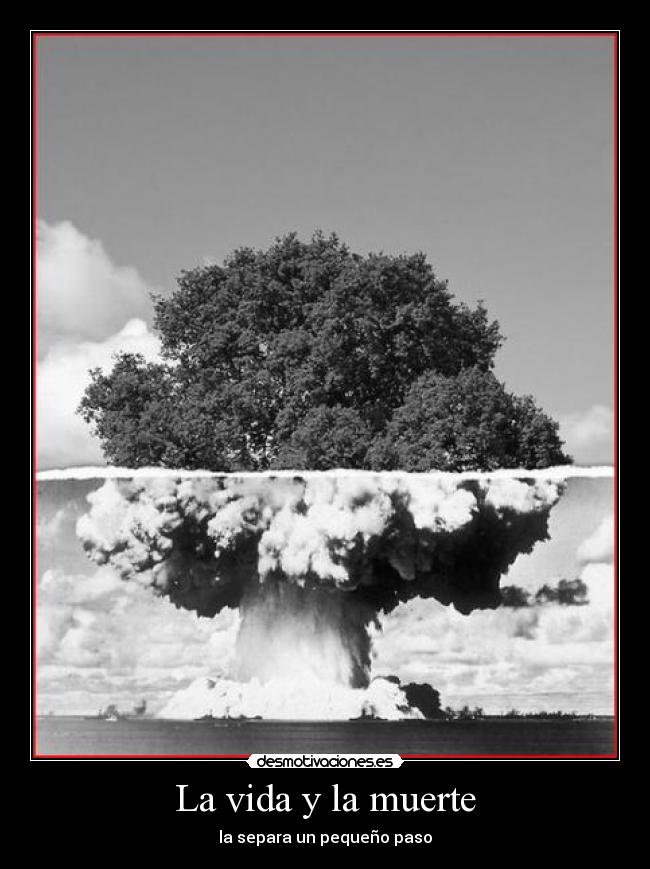 La vida y la muerte - la separa un pequeño paso