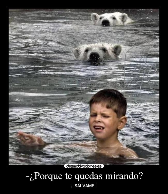 -¿Porque te quedas mirando? - ¡¡ SÁLVAME !!