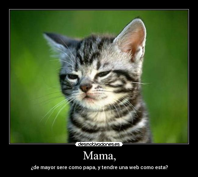 carteles gato desmotivaciones hijo desmotivaciones