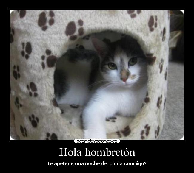 Hola hombretón - 