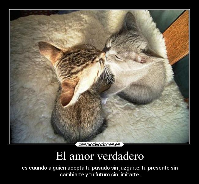 El amor verdadero - es cuando alguien acepta tu pasado sin juzgarte, tu presente sin
cambiarte y tu futuro sin limitarte.