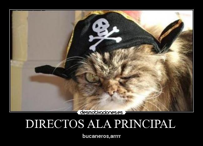 DIRECTOS ALA PRINCIPAL  - 