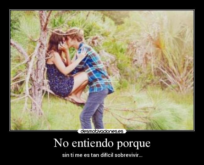 No entiendo porque - 