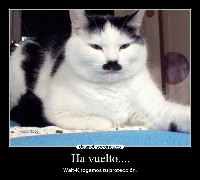Ha vuelto.... - Walt-K,rogamos tu protección.
